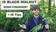 Black Walnut Firewood - Is It Worth It? (Plus Identification Tips)