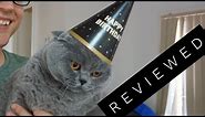 Basil the British Shorthair Cat Review after 3 years
