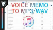 How To Convert Voice Memos To MP3 & WAV In iTunes