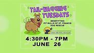 Tail Waggin Tuesdays at Frank's Whiskey Place, a pet-friendly cocktail bar