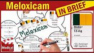 Meloxicam ( Mobic 7.5 & 15 mg ): What is Meloxicam Used For, Dosage, Side Effects & Precautions?