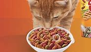 Friskies Dry Cat Food, Tender & Crunchy Combo, 6.3 lb. Bag