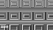 Optical Illusions: Circles or squares - which do you see?