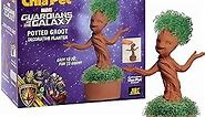 Chia Potted Groot Decorative Pottery Planter, Easy to Do and Fun to Grow, Novelty Gift, Guardians