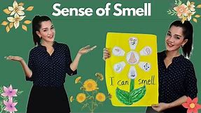 Sense of Smell Teaching Demo Plus Fun Activity