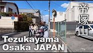 Osaka Tezukayama (帝塚山) Walking - Wealthy Neighborhood in Osaka [4K] POV
