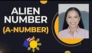 What is the ALIEN NUMBER?
