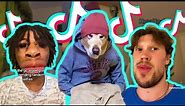 Which Bomboclaat Dog I Am Meme (TikTok Trend) - TikTok Compilation