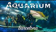 Barcelona Aquarium: An Immersive Ocean Adventure 🇪🇸
