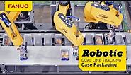 Get it Done with Robotic Case Packing