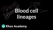 Blood cell lineages | Immune system physiology | NCLEX-RN | Khan Academy
