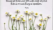 TJ Originals Goodbyes Rumi Quote - Spiritual and Boho Wall Decor - Namaste Zen and Meditation Aesthetic - Daisy Flowers Unframed 11x14 Wall Art Print for Living Room or Yoga Studio