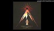 Chris Cornell - Nearly Forgot My Broken Heart