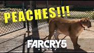Far Cry 5 how to lead Peaches with the bait - Far Cry 5 walkthrough #40