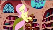 The Best of Fluttershy
