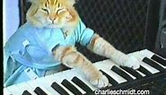 Keyboard Cat Behind The Scenes! - SHOCKING NEW FOOTAGE!