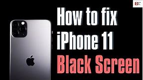 Fix iPhone 11 Black Screen Problems | Black Screen But Still On, Black Screen of Death, etc.