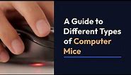 The Ultimate Guide to Different Types of Computer Mouse