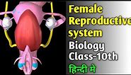 FEMALE REPRODUCTIVE SYSTEM IN 3D || full Explanation of Female reproductive system !