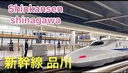 【4K】 Shinkansen Shinagawa Station ~ ( 新幹線 品川 ) - Tokyo Japan