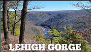 Hiking the Bald Mountain Vista loop trail finding solitude at Lehigh Gorge State Park