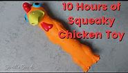 10 Hours Of Squeaky Chicken Toy