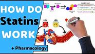 How do Statins Work? (+ Pharmacology)