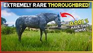 Get This Extremely Rare Dapple Gray Thoroughbred With Location - RDR2