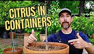 TIPS FOR PLANTING CITRUS TREES IN CONTAINERS