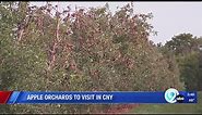 Picking Season: Apple orchards in Central New York