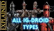 Every Type of IG-Series Droid in Star Wars