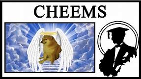 Rest In Peace Cheems, The Greatest Dog That Ever Lived