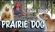 Prairie Dog Outdoor Habitat Tour