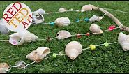 Easy Sea Shell Mobile - Beach Decorations
