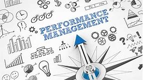 What Is Performance Management? The Complete Guide