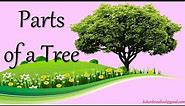 Tree || Parts of a Tree || Root || Stem || Trunk || Branch || Kids Science || EVS || Kindergarten ||