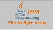 Java Tutorial - File to Byte array