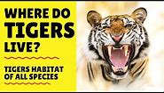 Where do Tigers Live - Tigers Habitat - Where are Tigers Found