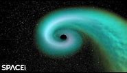 Black holes and neutron stars merge! 1st ever detection simulated