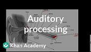 Auditory processing | Processing the Environment | MCAT | Khan Academy