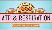ATP & Respiration: Crash Course Biology #7