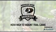 How High or Low To Mount Trail Cameras