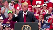Trump's best arm waving moments from the 2018 campaign trail