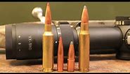 6.5 Creedmoor vs 308 Winchester: Which One Should You Hunt With?