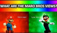 What Are The Mario Bros Views Meme Compilation