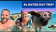 Swimming With Pigs in The Bahamas (THE ORIGINAL SWIMMING PIGS)