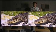Samsung Q95T/ Q90T (2020) vs Q90R (2019) 4K QLED TV Comparison