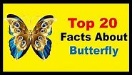 Butterfly - Facts