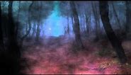 Dark Forest (Video Background)