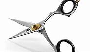 Professional Mustache & Beard Trimming Scissors - 5.5" | 100% German Stainless Steel & Hammer Forged Mustache Scissors | Razor Sharp Facial Hair Trimming Shears (RIGHT HANDED - Silver)